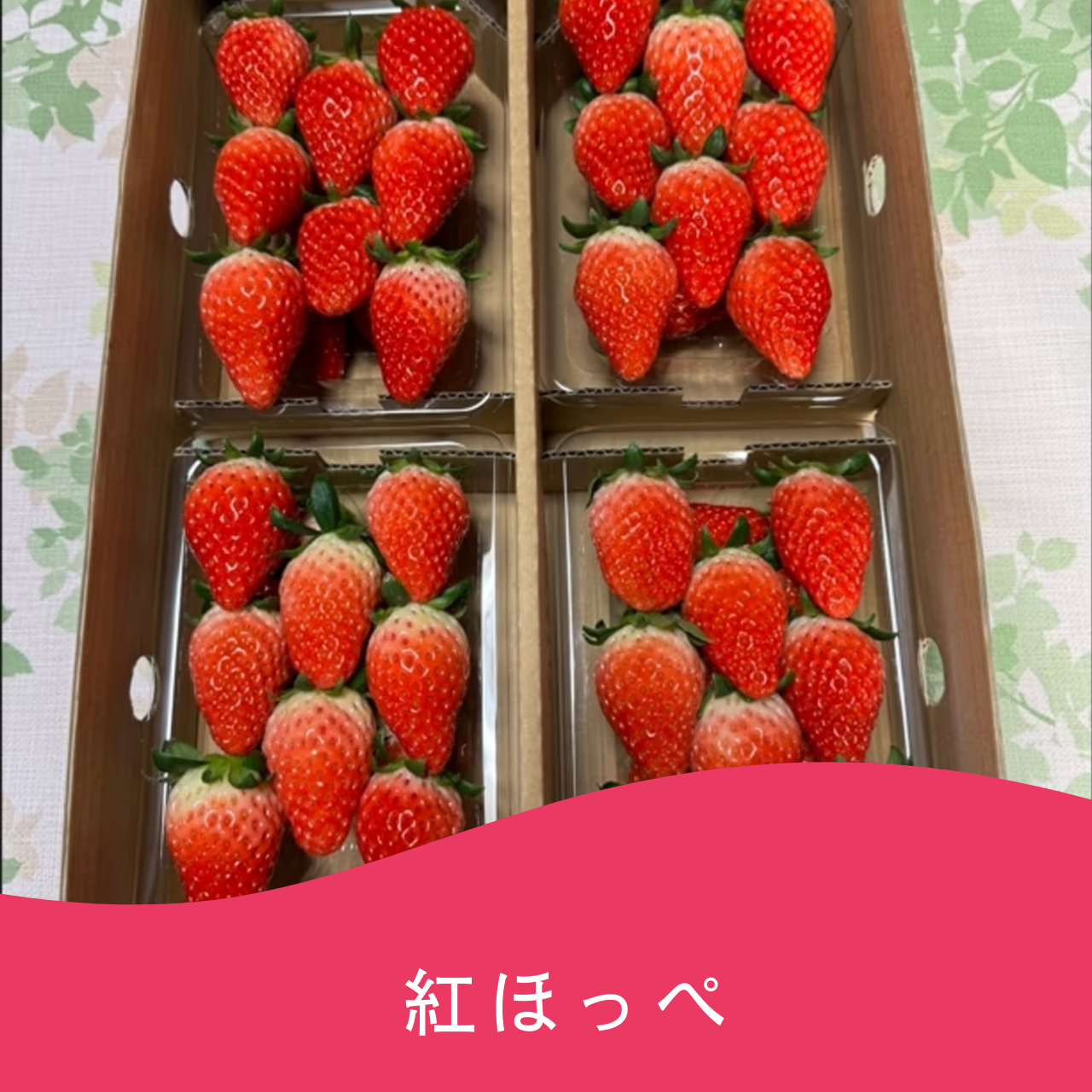 紅ほっぺ(送料込み)